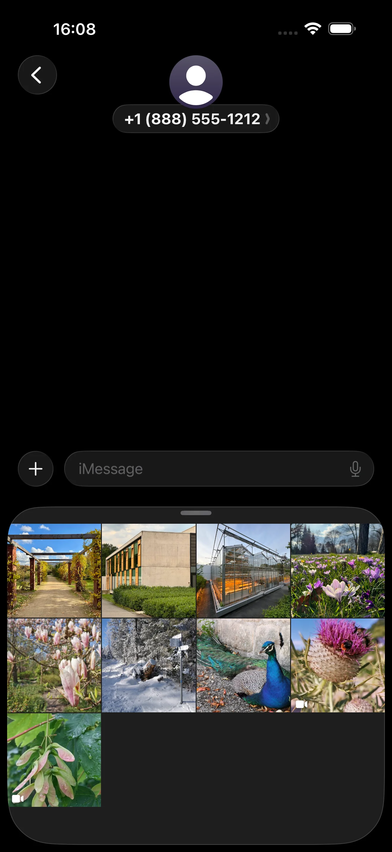 Photoflare iMessage app – send photos directly in iMessage conversations
