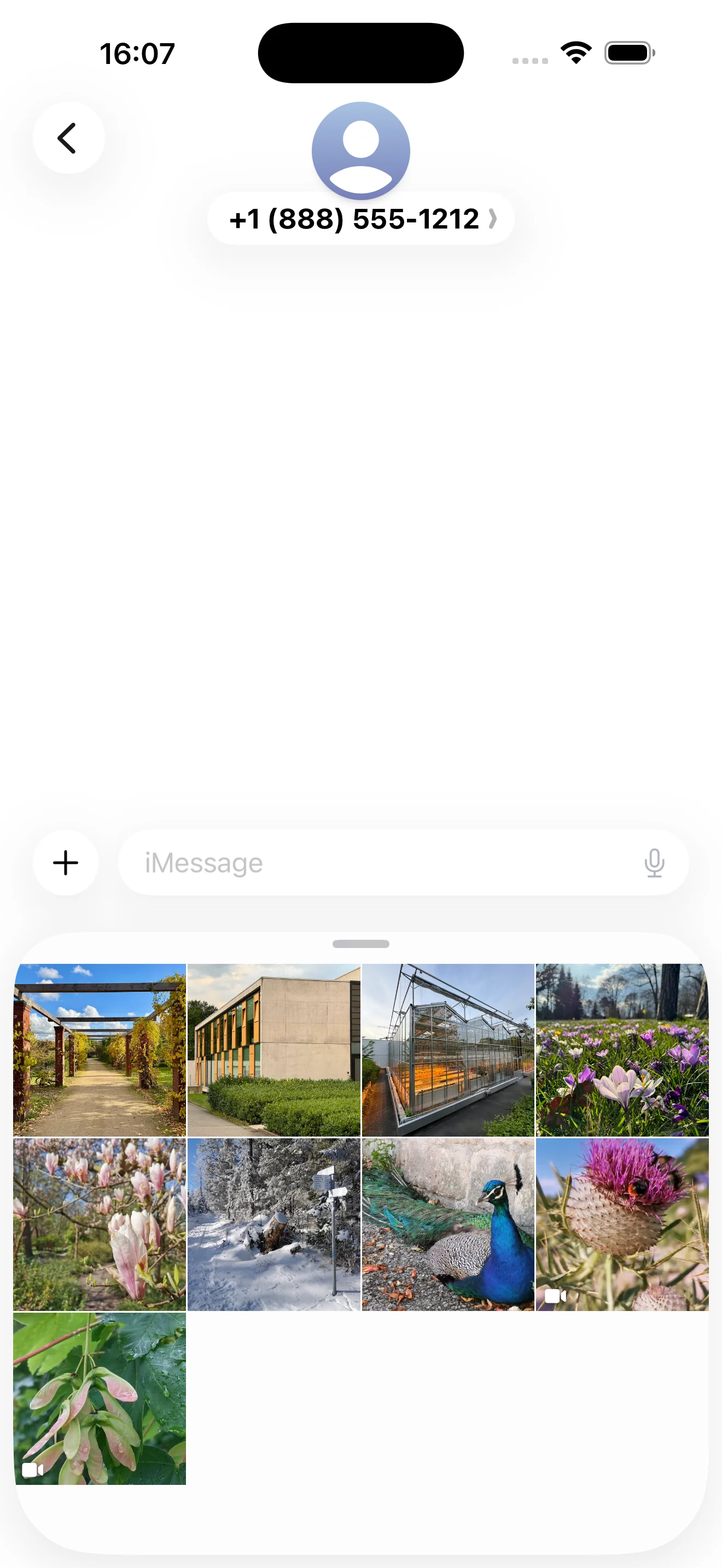 Photoflare iMessage app – send photos directly in iMessage conversations