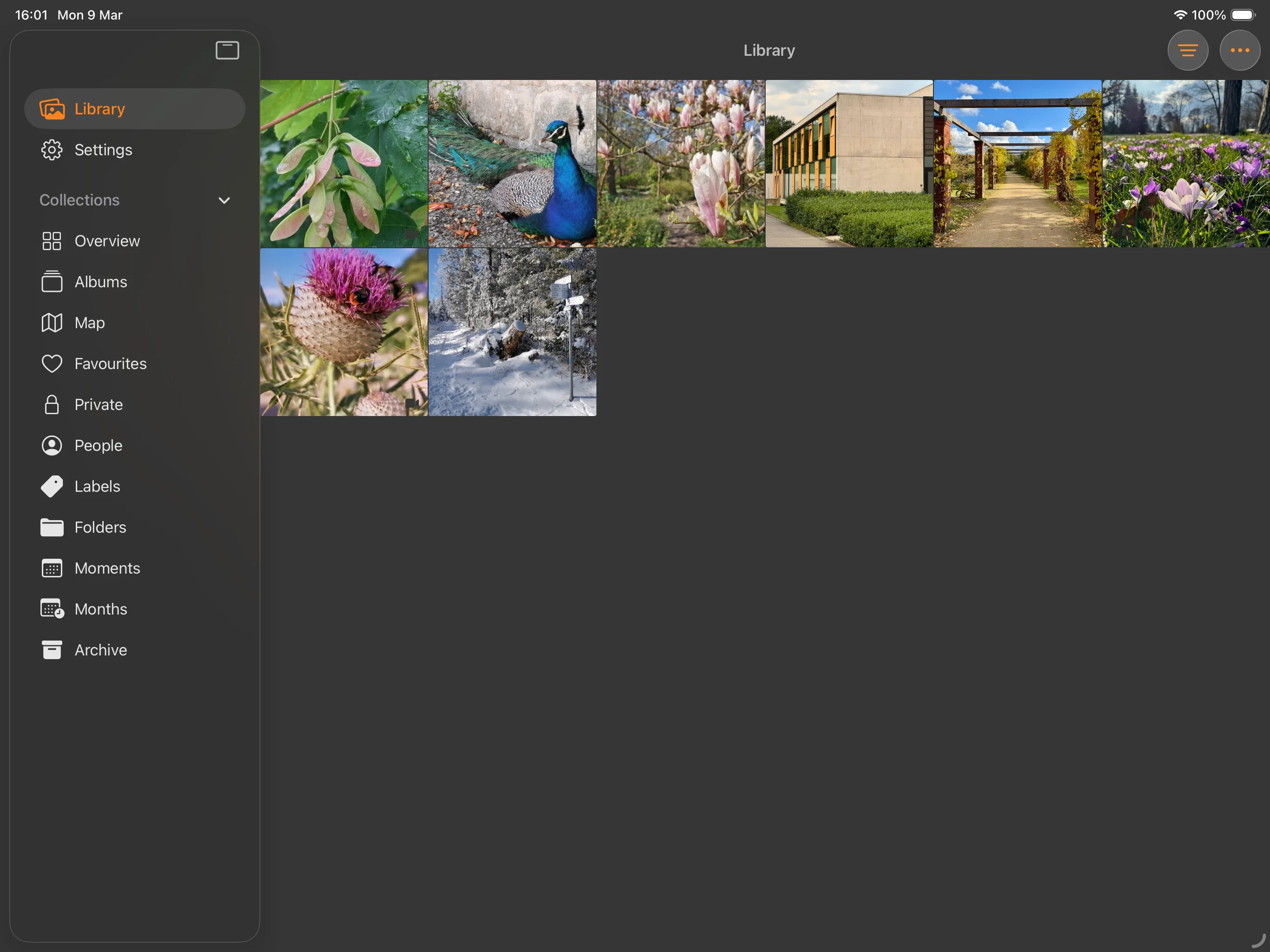 Photoflare iPad app – browse your PhotoPrism library on iPad
